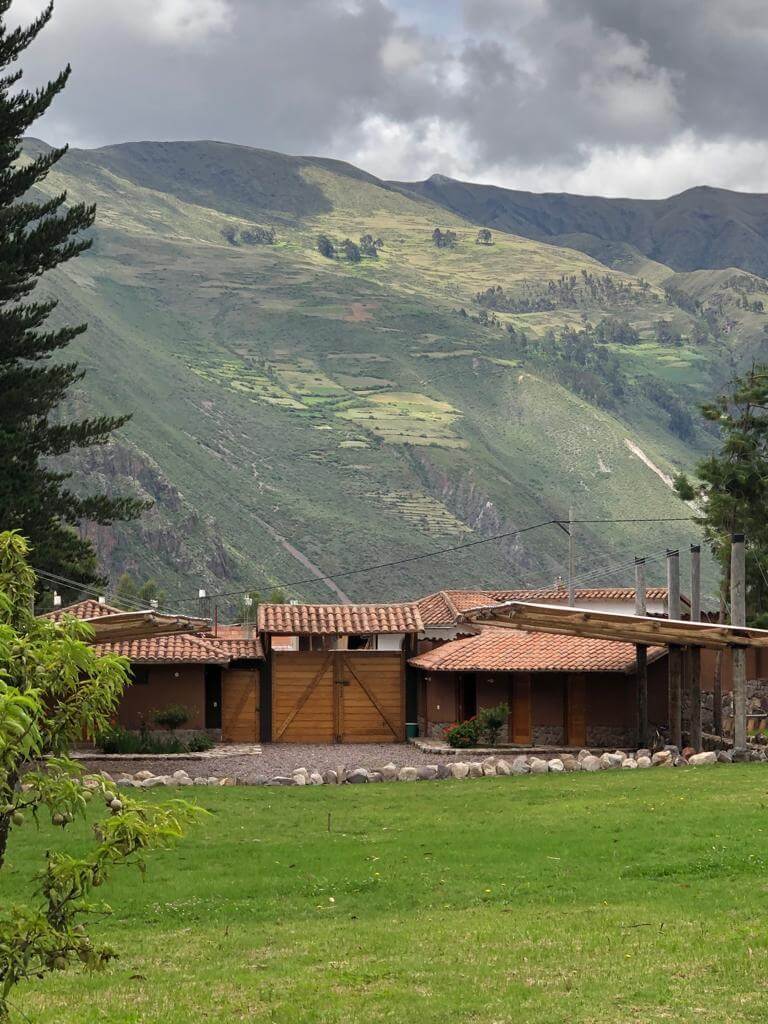 Calca 8